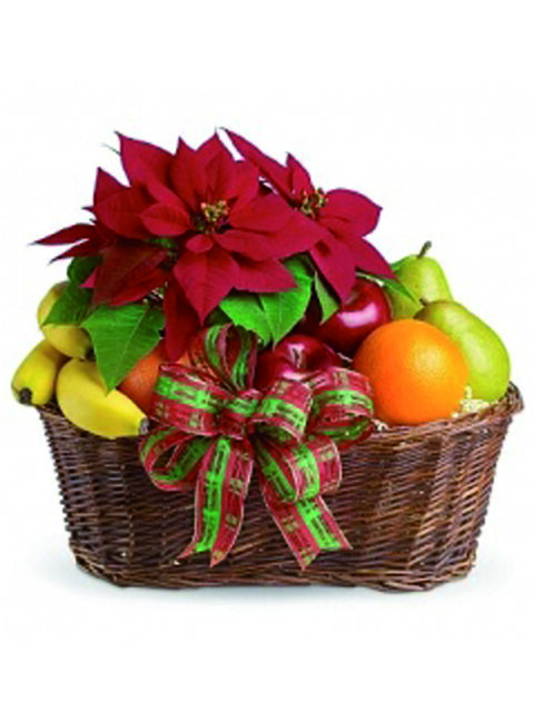 stella di natale e cesto