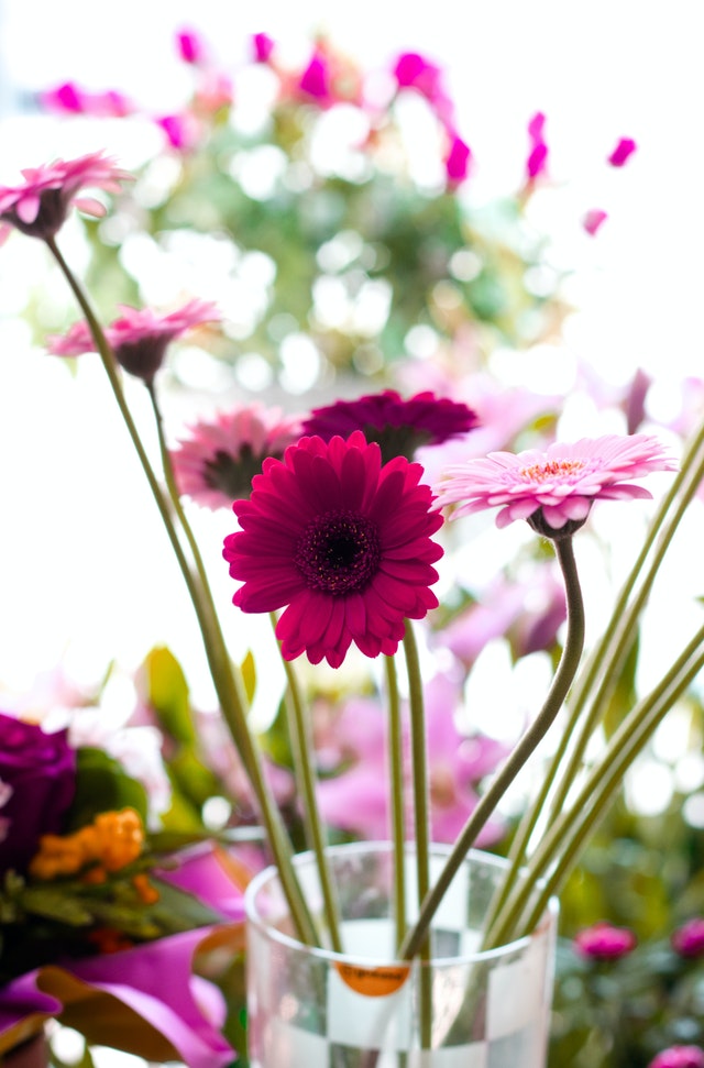 i fiori