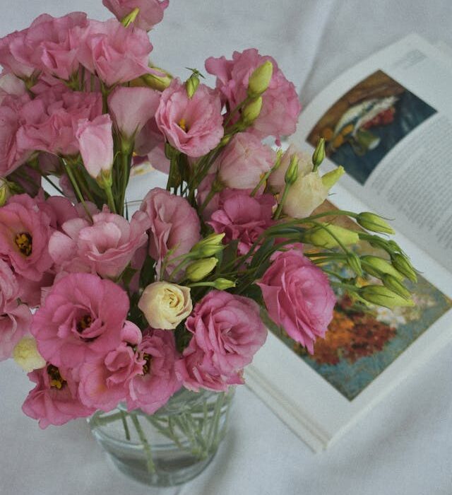 lisianthus bianco e rosa