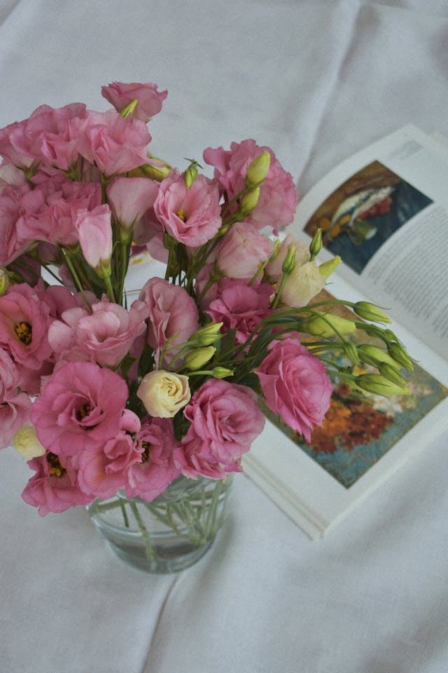 lisianthus bianco e rosa