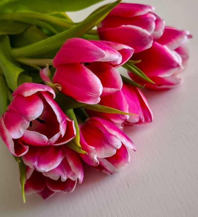 come far durare i fiori estivi