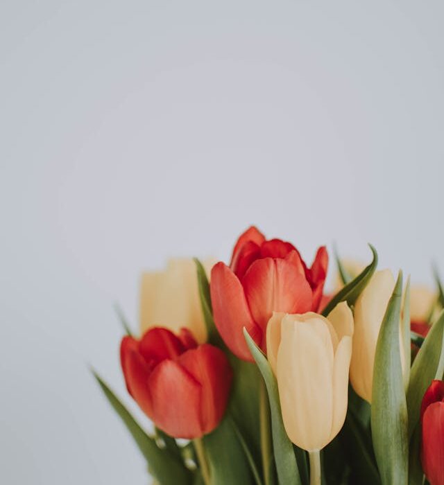 la festa del papà è un occasione spciale quali fiori regalare