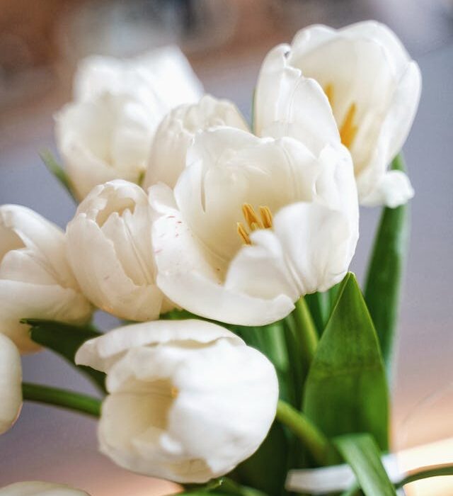 stupire con i fiori online